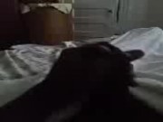 Horny