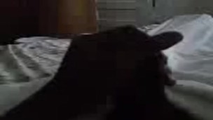 Horny Jamaican