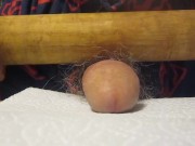 Rolling Pin Fun! - Screenshot 1 of 16 - HD