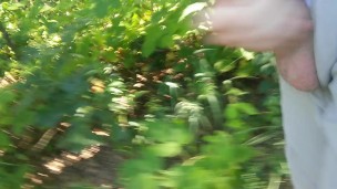 Jerk off in the Woods
