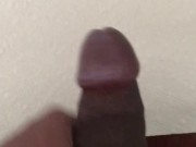 Lunch time cum
