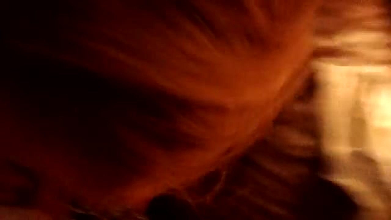 Homemade dirty house wife cheating with blowjob and fuck - RedTube