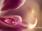 Do You Remember? (What We Were to Each Other) - sensual erotic audio by Eve's Garden