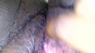 Wet pussy chronicles1