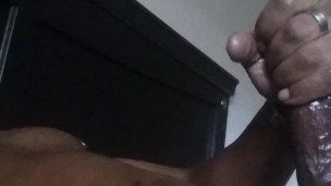 Catch My Nutt