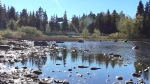 SQUIRTING MILF OUTDOOR CAUGHT GIRL MASTURBATE AMATEUR ORGASM SQUIRT