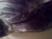 Shower time - Screenshot 4 of 16 - Ebony Shower Tease