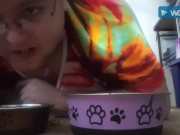 Eating cat food and dog food