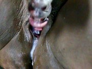 19yr Old JOI Countdown Masturbation Squirt 7/16