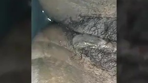 Quick car squirt