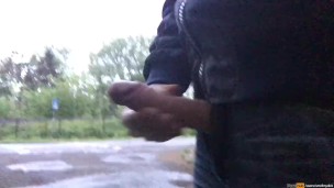 Dutch guy is jerking in public but a train is passing by