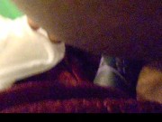 ButtLove2016 - Foxy Goldshrine - ButtLove2016