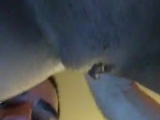 my small  fat wet juicy  pussy getting sucked! 10/16