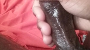 Morning nut