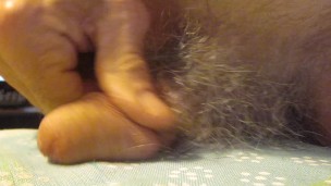 CockPlay #1