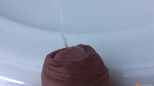 my dick pissing - close up view