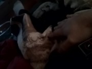 Bored as hell - Screenshot 2 of 16 - Cock