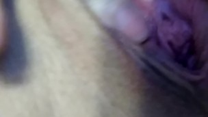 Trinity Rayne Fingering in Blue/Black Lace