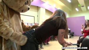Party in the Salon with The One and Only DANCING BEAR! (db8979)