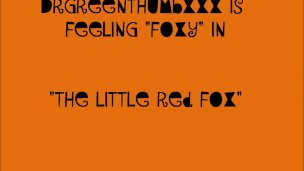 Little Red Fox