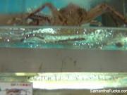 Behind the scenes with blonde superstar Samantha Saint