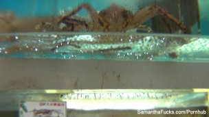 Behind the scenes with blonde superstar Samantha Saint