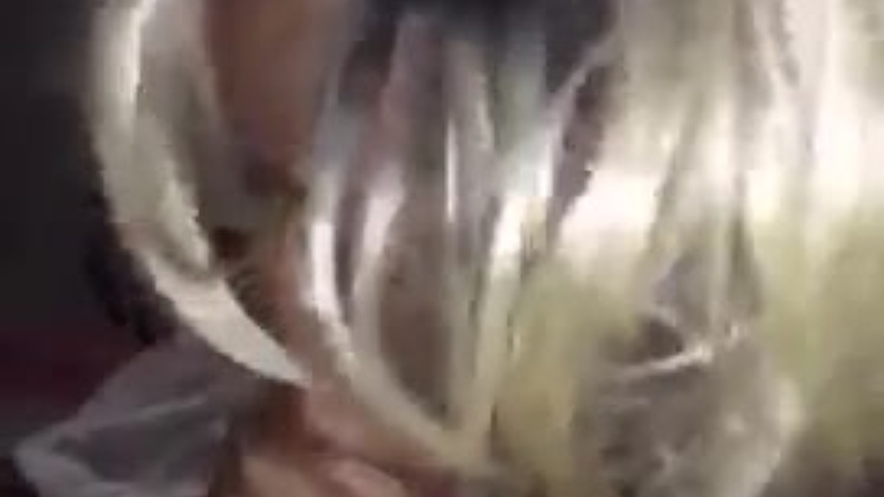 Thot sucking sloppy BBC dick(bad camera) - Free Sex Video - RedTube