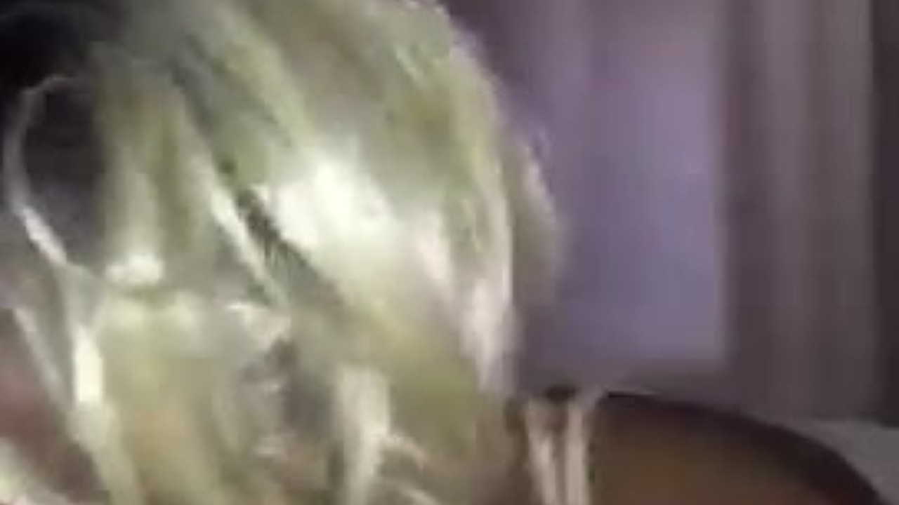 Thot sucking sloppy BBC dick(bad camera) - Free Sex Video - RedTube