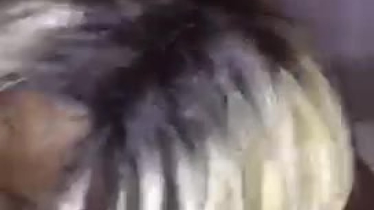 Thot sucking sloppy BBC dick(bad camera) - Free Sex Video - RedTube