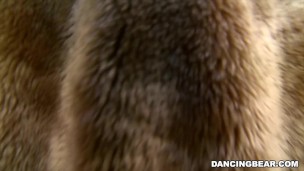 The Muthafucking Dancing Bear in the House! Watch out! (db9376)