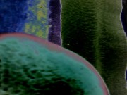 Very bbc - Screenshot 14 of 16 - Masturbate