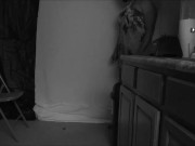 Amazing Key - Screenshot 1 of 16 - Teasing