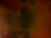 pornstar stick pic of his dick in her pussy