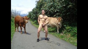 My Cumshots Collection- Outdoor