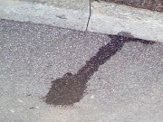 Pee on public sidewalk 16/16