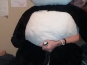 Even A Hand job don't make Pandas cum that easy