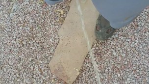 Just a short of me taking a piss outside
