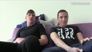 DEBT DANDY 190
