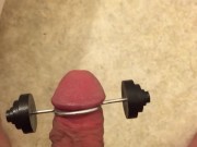 Penis Pumping Iron