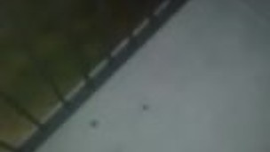 Playing with my cock on the balcony