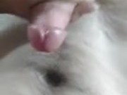 Cumming - Screenshot 6 of 16 - Jerk Off
