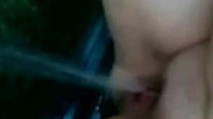 piss public in car