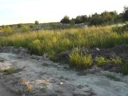 Sperm on pussy. Wet panties. Wet pussy. Random huge cumshot masturbation 16/16