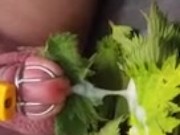 Nettle Torture Orgasm