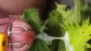Nettle Torture Orgasm