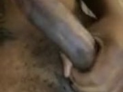 Just jacking my BBC
