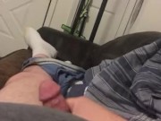Bored and jerking it, late at night on the couch. 1/16