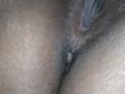 Panamanian Kitty's  10/16