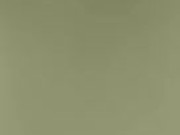 Panamanian Kitty's  15/16