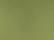 Panamanian Kitty's  16/16